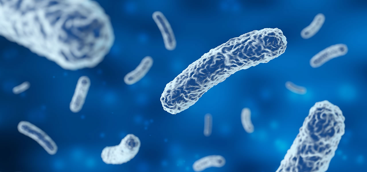 8037